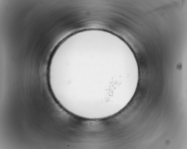 X0000103961134200809191505