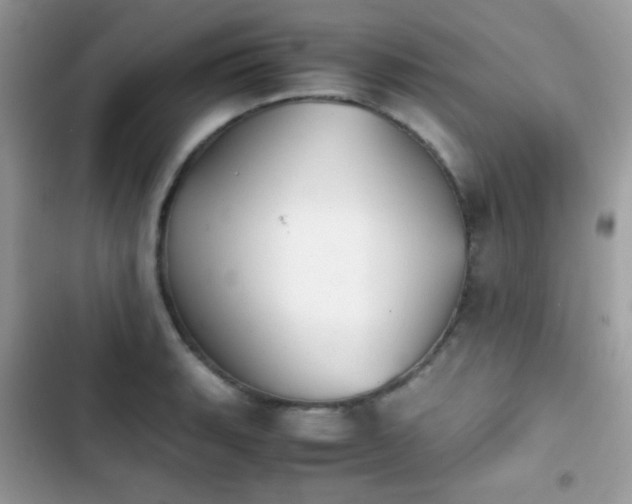 X0000103961135200809191505