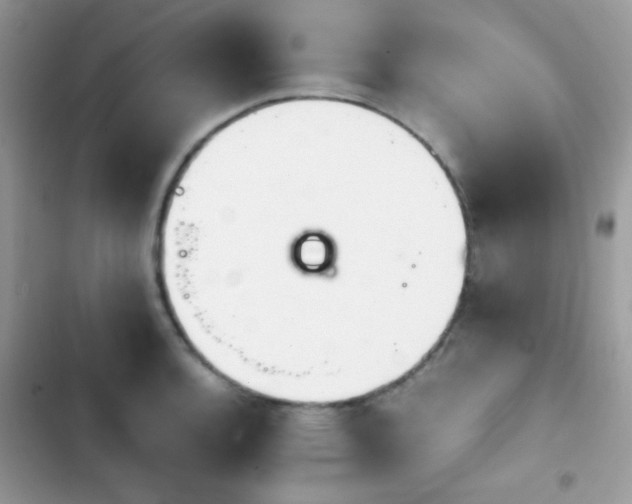 X0000103961136200809191505