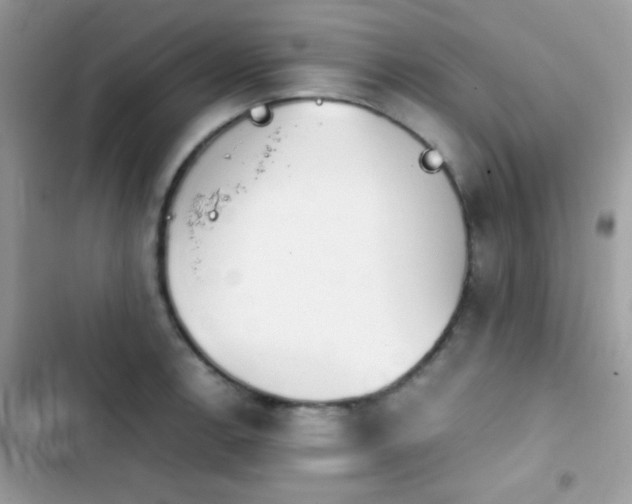 X0000103961138200809191505