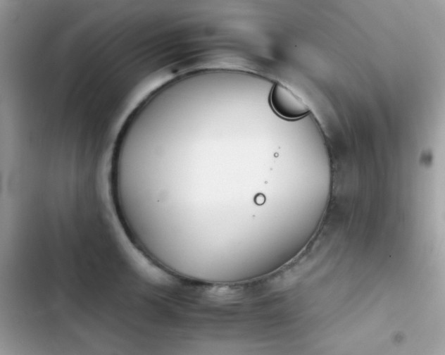X0000103961139200809191505