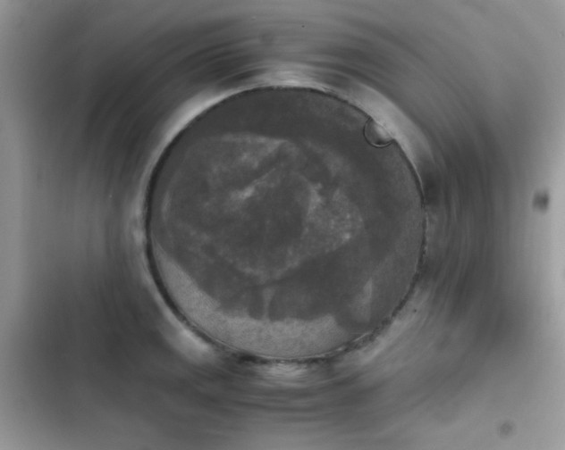 X0000103961141200809191505