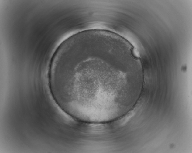 X0000103961142200809191505