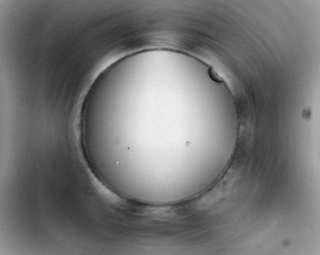X0000103961143200809191505