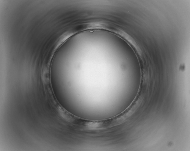 X0000103961145200809191505