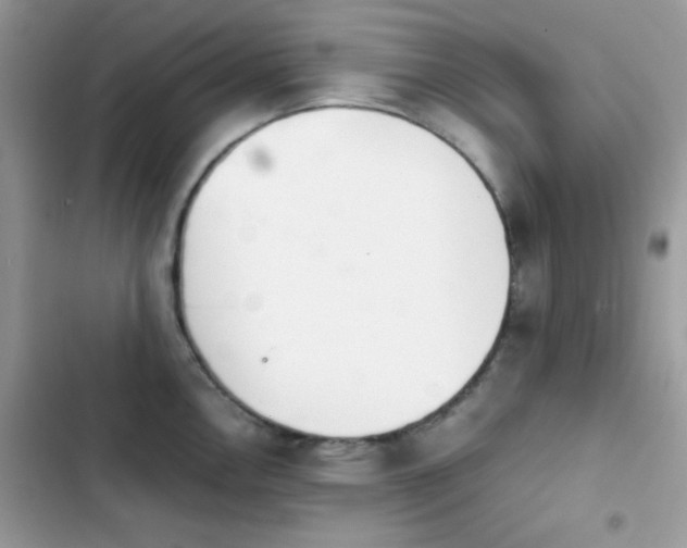 X0000103961146200809191505