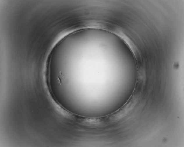 X0000103961147200809191505