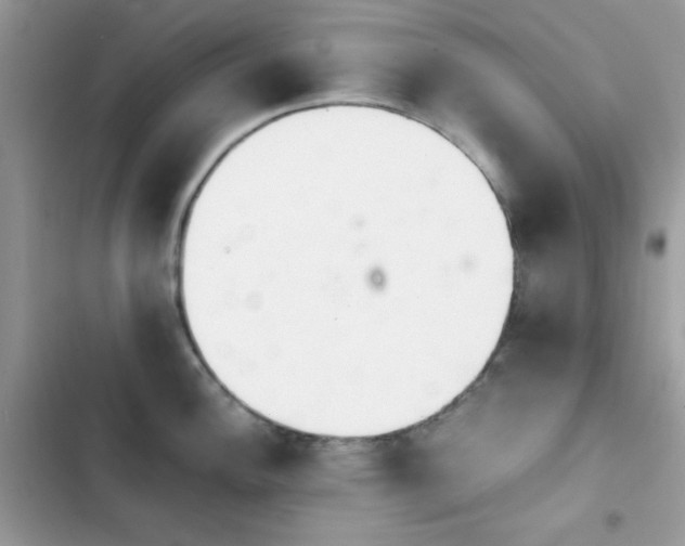 X0000103961148200809191505