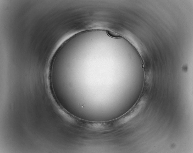 X0000103961149200809191505