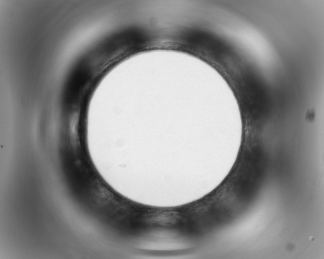 X0000103961150200809191505
