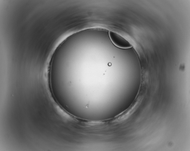 X0000103961151200809191505