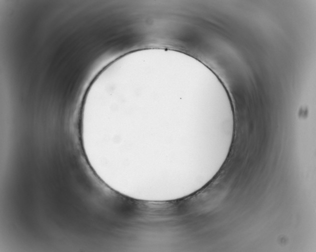 X0000103961152200809191505