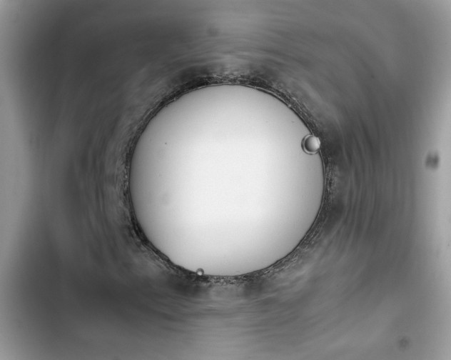 X0000103961153200809191504