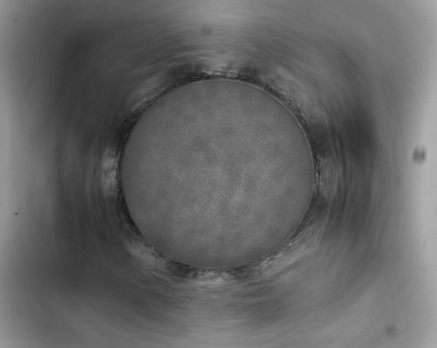 X0000103961154200809191504