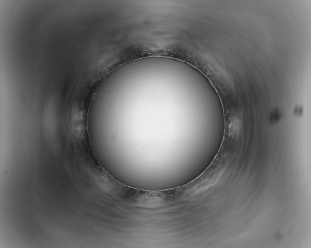 X0000103961156200809191504