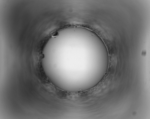 X0000103961157200809191504