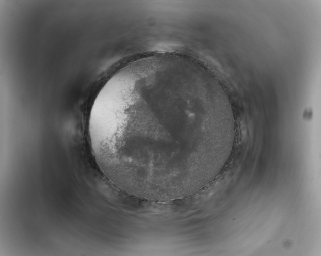 X0000103961158200809191504