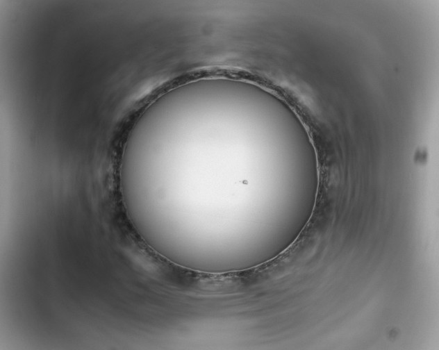 X0000103961159200809191504