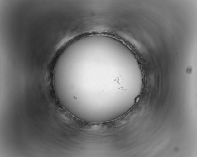 X0000103961160200809191504