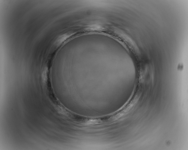 X0000103961161200809191504