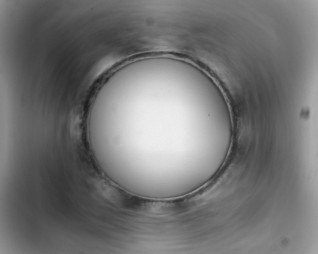 X0000103961163200809191504