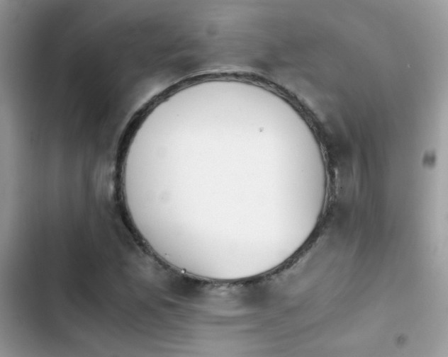 X0000103961165200809191504