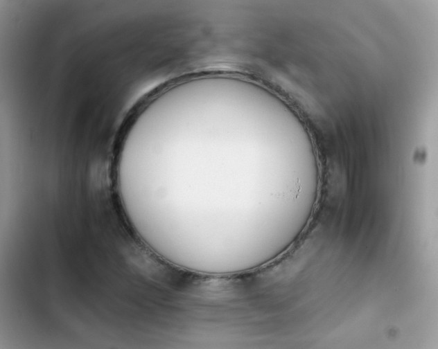 X0000103961166200809191504