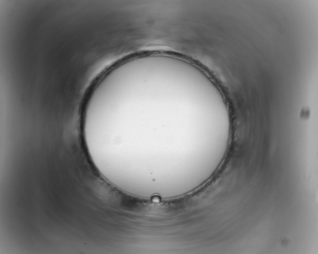 X0000103961167200809191504