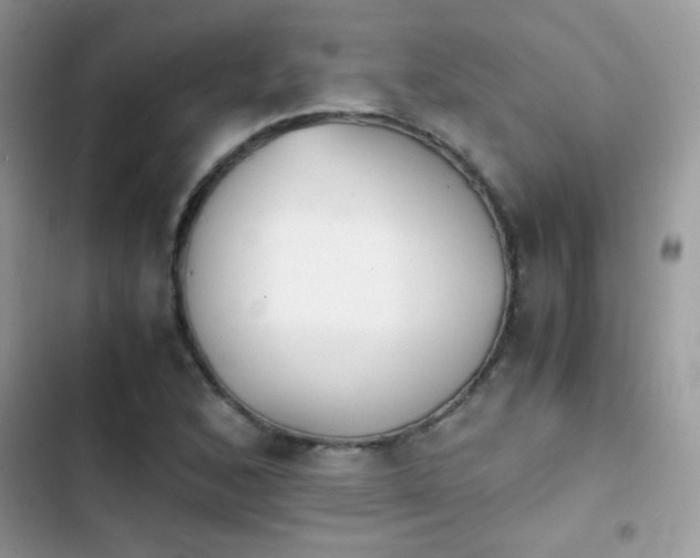 X0000103961168200809191504