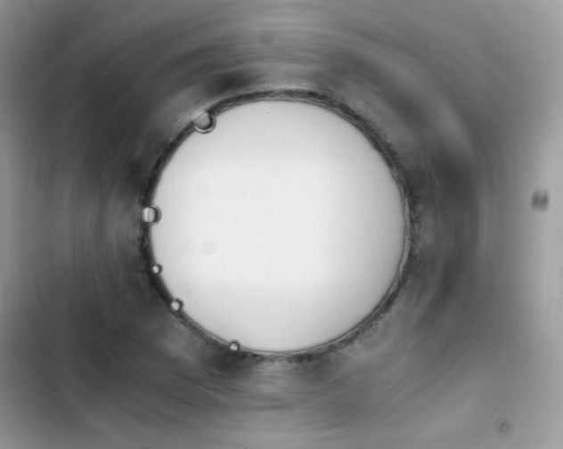 X0000103961169200809191504