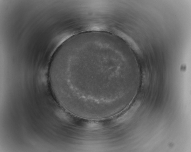 X0000103961170200809191504
