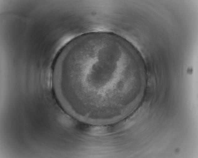 X0000103961171200809191504