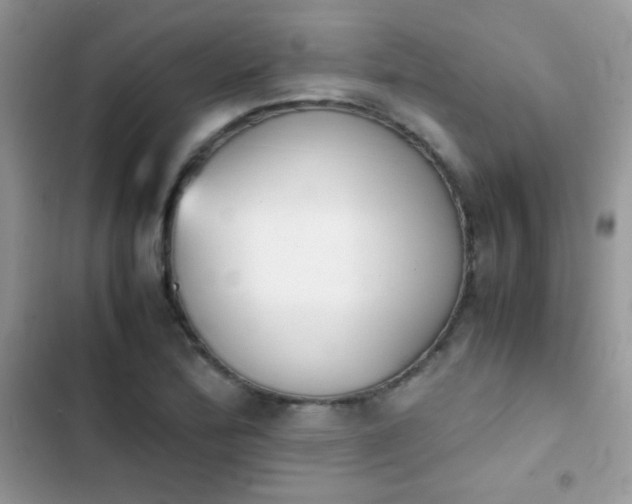 X0000103961172200809191504
