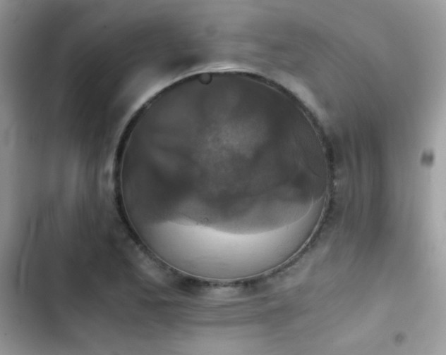 X0000103961173200809191504
