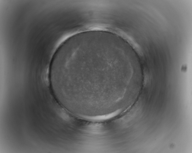 X0000103961174200809191504