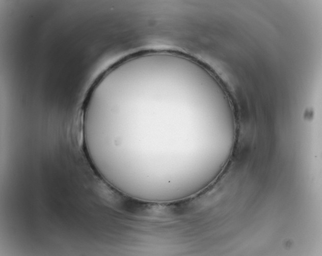 X0000103961175200809191504