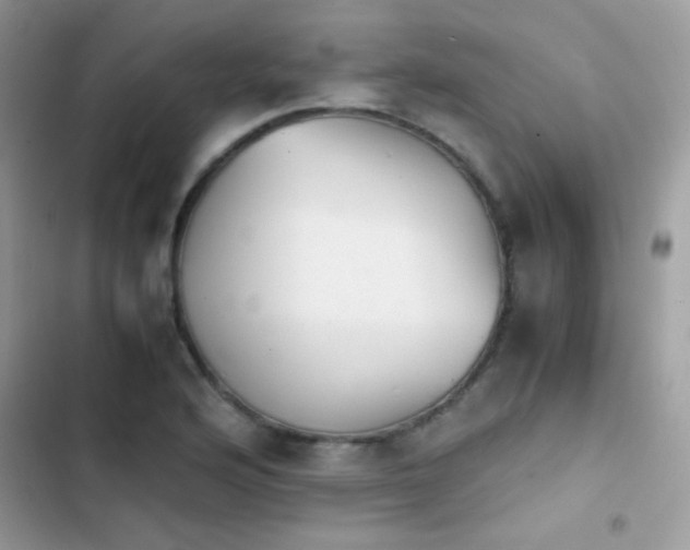 X0000103961176200809191504