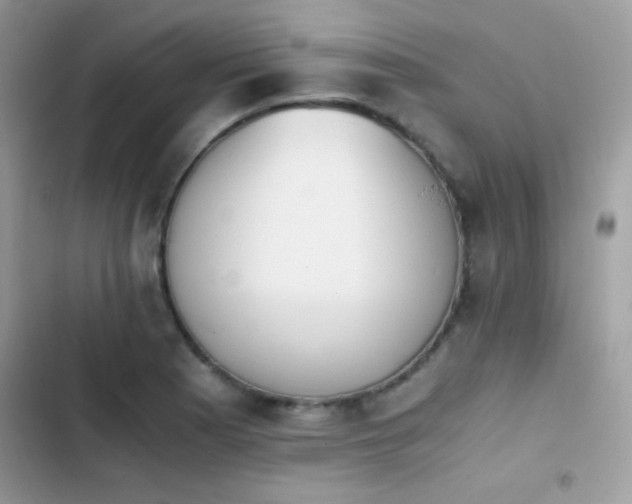 X0000103961177200809191504