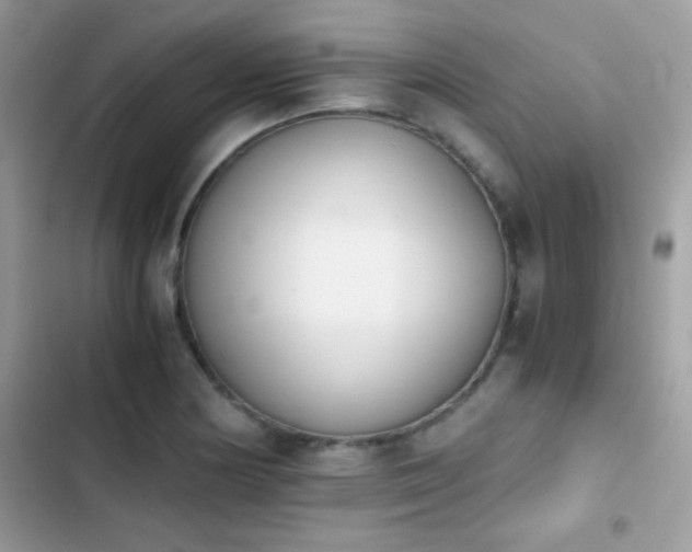 X0000103961178200809191504