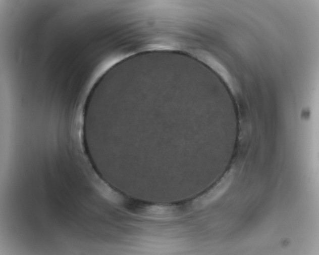 X0000103961179200809191504