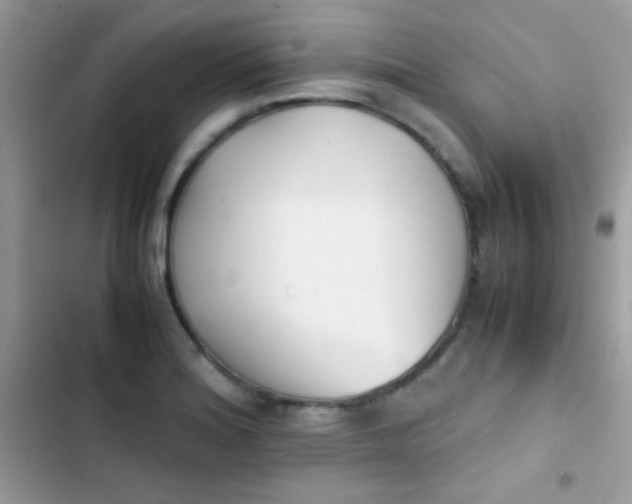 X0000103961180200809191504