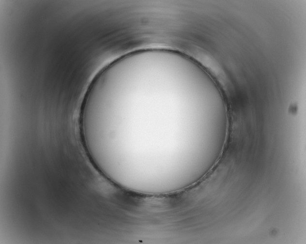 X0000103961181200809191504
