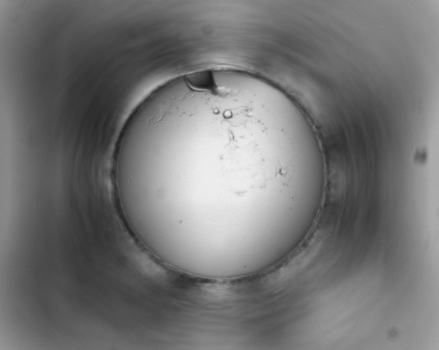 X0000103961182200809191504