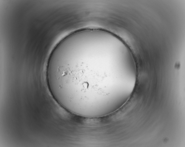 X0000103961183200809191504
