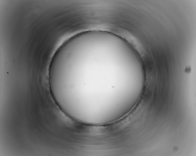 X0000103961184200809191504