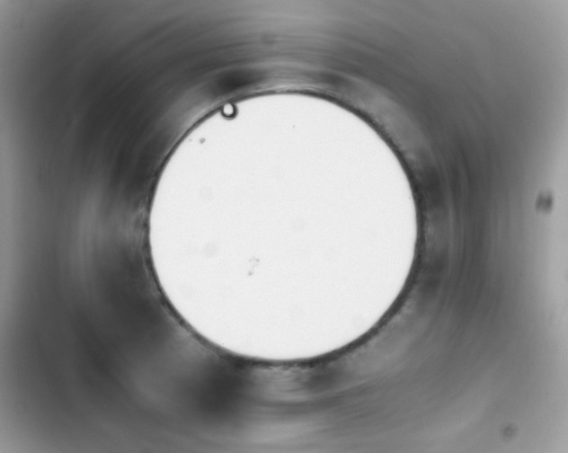 X0000103961185200809191504