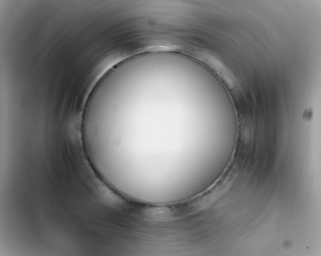 X0000103961186200809191504