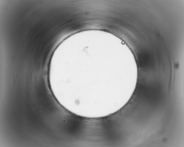 X0000103961187200809191504