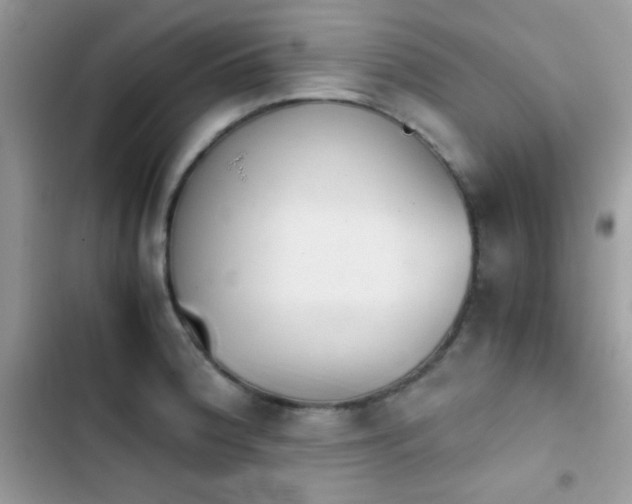 X0000103961188200809191504