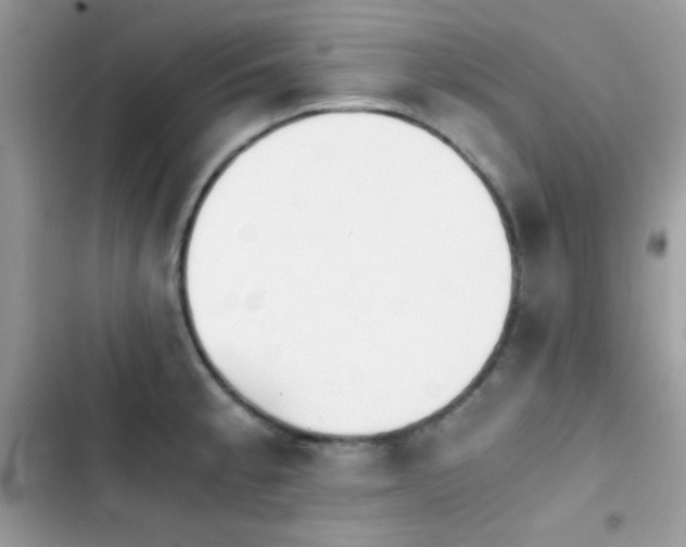 X0000103961189200809191504